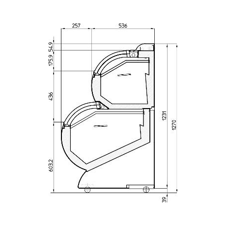 Congélateur à glace négatif 255 L