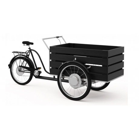 Triporteur cargo