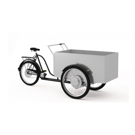 Triporteur cargo