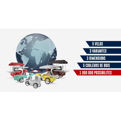 Triporteur Foodtruck avec coffre à l'arrière finition RAL peint