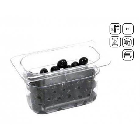 Bac GN 1/9 en polycarbonate standard 176x128 mm