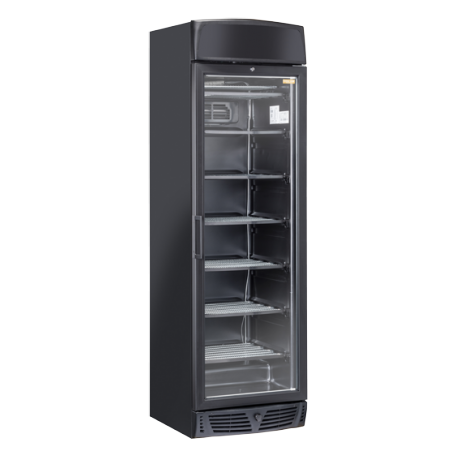 Congélateur vertical 300 L