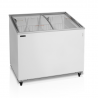 Congélateur vitres bombées 264L