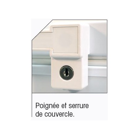 Congelateur bahut 156L : 962,40 € HT | Colddistribution