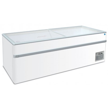 Congélateur gamma 200 O