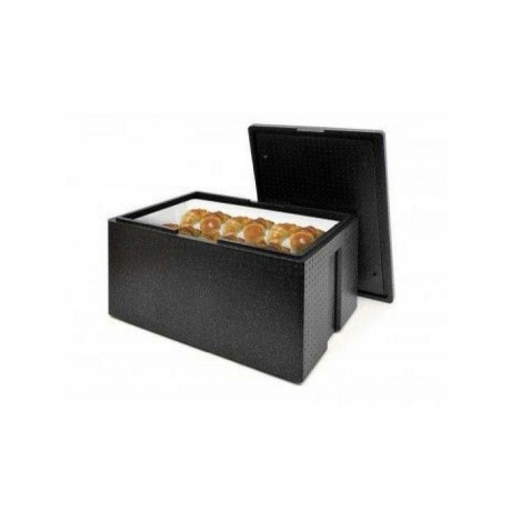 Conteneur isotherme Maxi