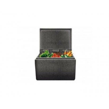 Conteneur isotherme Cargo Box