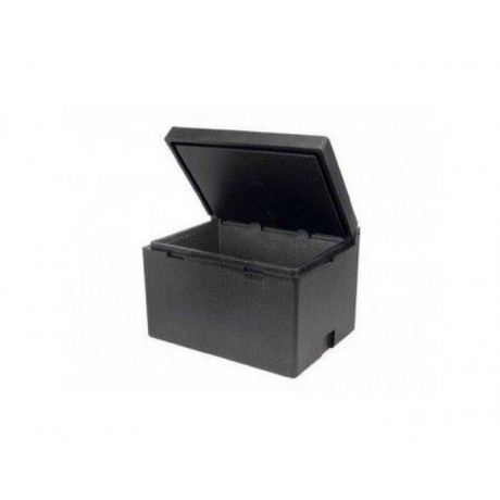 Conteneur isotherme Cargo Box