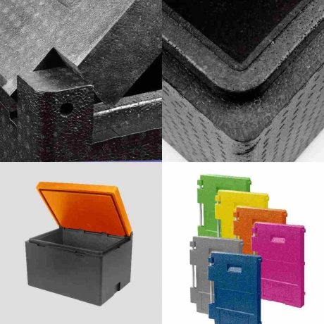 Conteneur isotherme Cargo Box