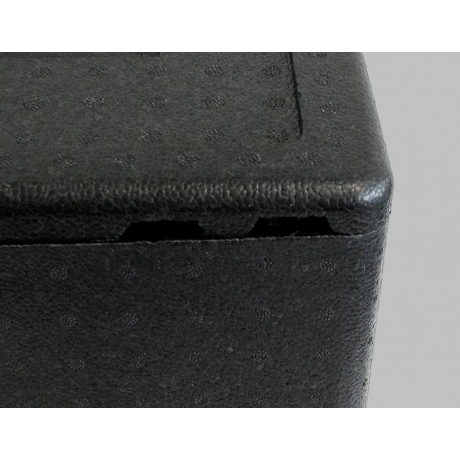 Conteneur isotherme Pizzabox