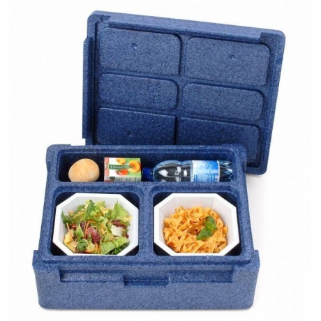 Conteneur isotherme Thermoking