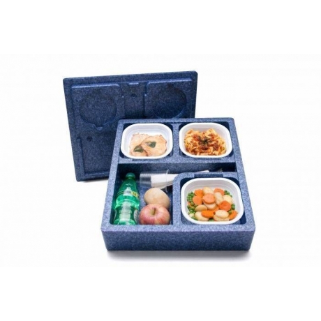 Conteneur isotherme Domus