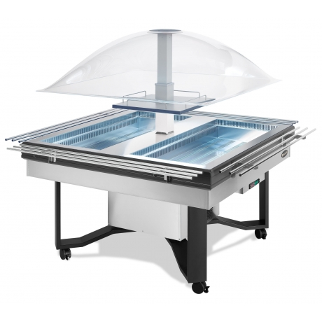 Dôme réfrigéré positif en acier inox avec étagères