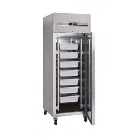 Frigo Professionnel à Poisson