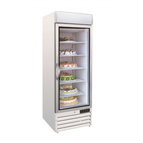 Congélateurs vitrés professionnel